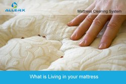 Mattress cleaning Dubai | cleaning companies UAE | Allerxme.com