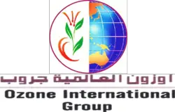 Ozone International Group of Services